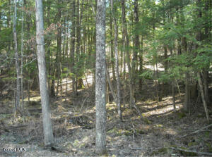 l-8.111 Carpenter Johnsonville, NY 12094