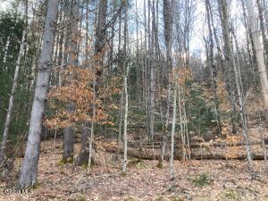 652 New Vermont Road Bolton Landing, NY 12814