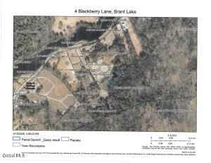 4 Blackberry Lane Brant Lake, NY 12815