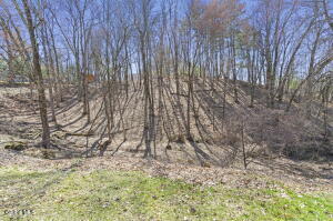 7 Saddle Hill Road Wynantskill, NY 12198