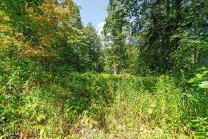 1127 Meadowdale Road Altamont, NY 12009