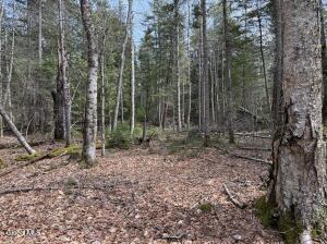 L34.1 Youngs Road Schroon Lake, NY 12870