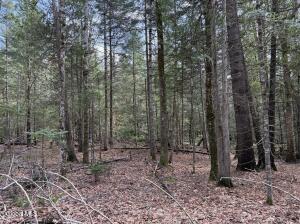 L34.2 Youngs Road Schroon Lake, NY 12870