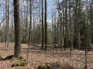 L34.3 Youngs Road Schroon Lake, NY 12870