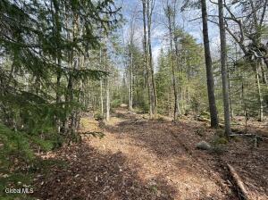 L34.4 Potash Hill Road Schroon Lake, NY 12870