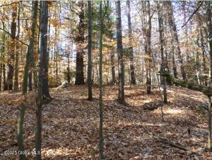 487 Antone Mountain Road Hadley, NY 12835