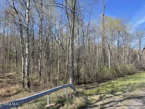 Lot 26 Highway Route 20 Sharon Springs, NY 13459