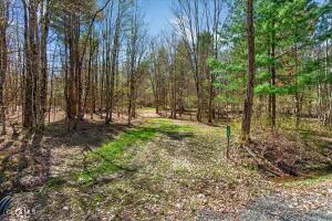 155 Thistle Hill Road Petersburgh, NY 12138