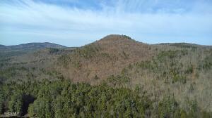 L46 Trout Falls Road Bolton Landing, NY 12814