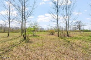 L 8.2 Salsburg Road Delanson, NY 12053