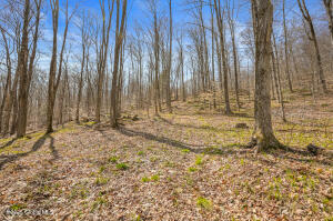 L9.113 Lutheranville Road East Worcester, NY 12175