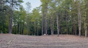 15 Meadow Lane Hannacroix, NY 12087