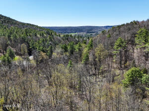 L19 Mary Taylor Road Middleburgh, NY 12122