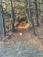 L26 & L27 Ecker Hollow Road Cobleskill, NY 12043