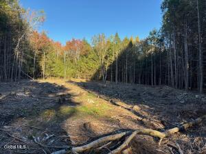 L1.112 Kipple Road Sand Lake, NY 12153