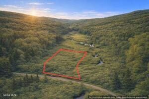 L46 Alder Brook Road Brant Lake, NY 12815
