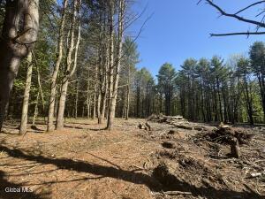 L33.05 Glimmerglen Road Cooperstown, NY 13326