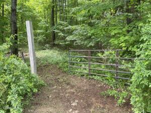 467 Roosevelt Avenue Cairo, NY 12413