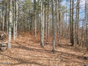 242 Tae Kwon Road Blenheim, NY 12131
