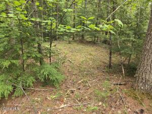 L2 & L3 Old Schroon Road Pottersville, NY 12860
