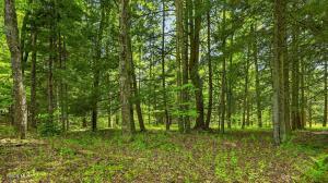 L1.6 Crystal Brook Path Jefferson, NY 12093
