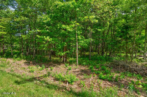 L1 27.11 Ruggles Road Saratoga, NY 12831