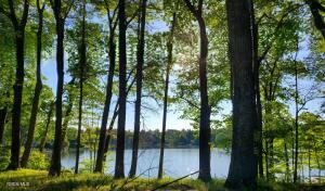 18 Nacy Road Lake George, NY 12845