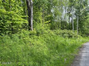 L9 Harrington Gilboa, NY 12076