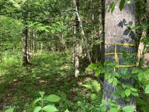 L3 Breed Hill Road Crown Point, NY 12928