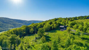 L10.10 Cheese Hill Road Rensselaerville, NY 12147