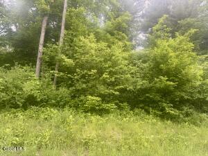 L2 Reynolds Road Duanesburg, NY 12137