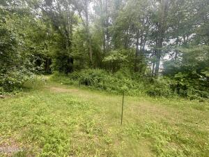 L26 Pausley Court Selkirk, NY 12158