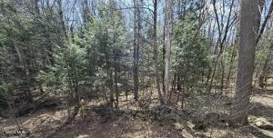 L45 Jacobs Ladder Road Becket, MA 01223