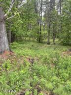 2447 NY-28 Johnsburg, NY 12886