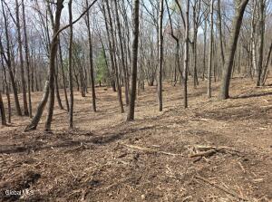 L135.2 Rockledge Road Hillsdale, NY 12529
