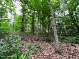 Lot 1 McGregor Road Gloversville, NY 12078