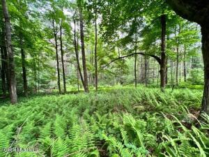 Lot 2 McGregor Road Gloversville, NY 12078