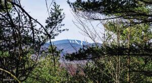 36 Fawn Ridge Road Chestertown, NY 12817