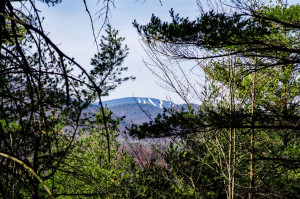 36 Fawn Ridge Road Chester, NY 12817