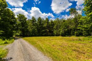 L4.111 Anderson Road Broome, NY 12122