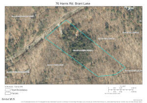 76 Harris Road Brant Lake, NY 12815
