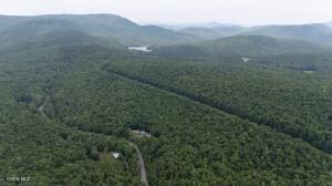 L50 Gilmantown Road Wells, NY 12190