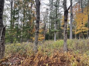 L47.2 Mallon Road Minerva, NY 12857