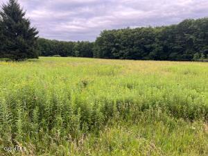 184 Beechwood Road Sharon Springs, NY 13459