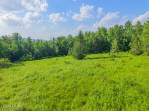 L6 Guinea Road Middleburgh, NY 12122