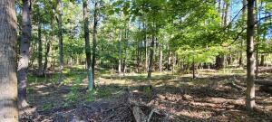 L20 High Hill Road Coxsackie, NY 12051
