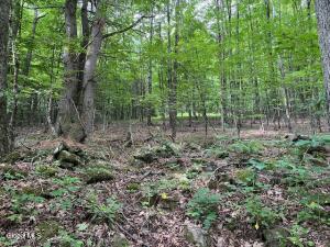 L21 Fred Jensen Drive Broome, NY 12122