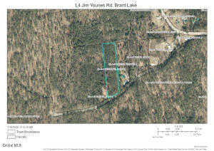 L4 Jim Younes Road Brant Lake, NY 12815