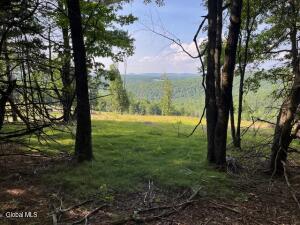 L49 Laura Lane Broome, NY 12122