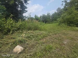 L5 Hickory Hill Road Fort Plain, NY 13339